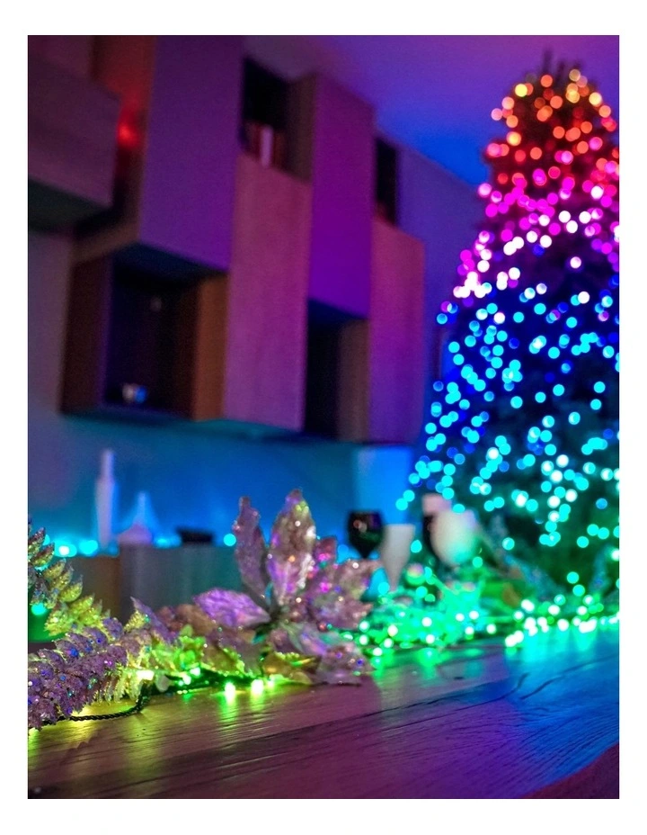 LED String Light Generation II AU Plug Wire in Multi image 6