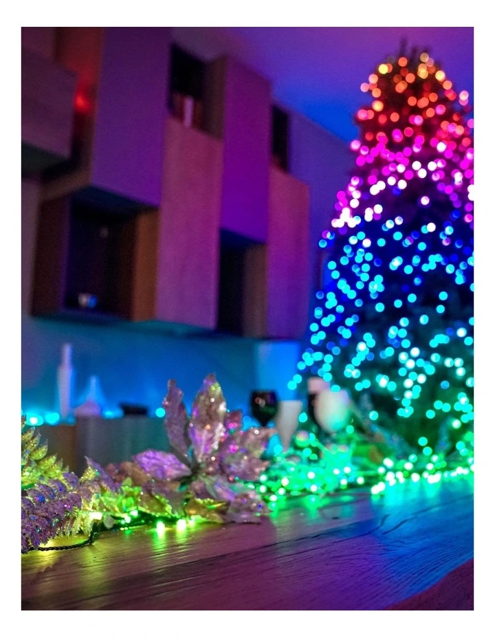 LED String Light Generation II AU Plug Wire in Multi image 6