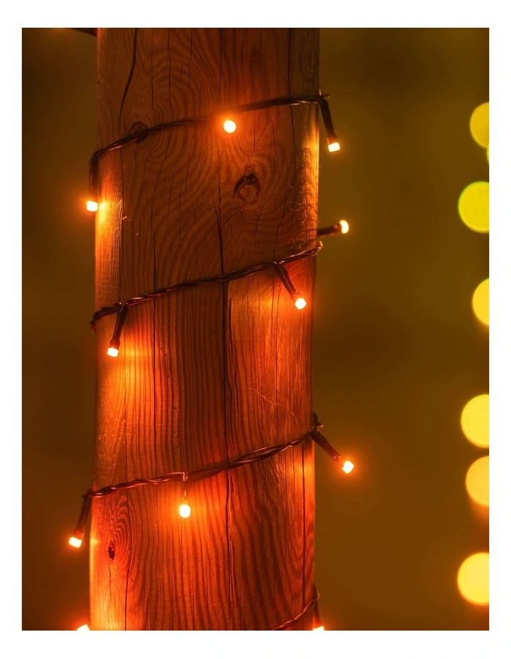 LED String Light Generation IIAU Plug 250 Wire RGB image 6