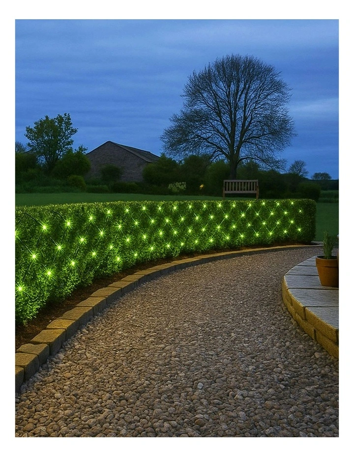 320 RGB Colour Changing Net Light image 2