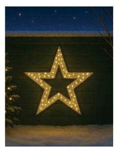 LED Mesh Star With Twinkle 2D 1.2M in Warm White