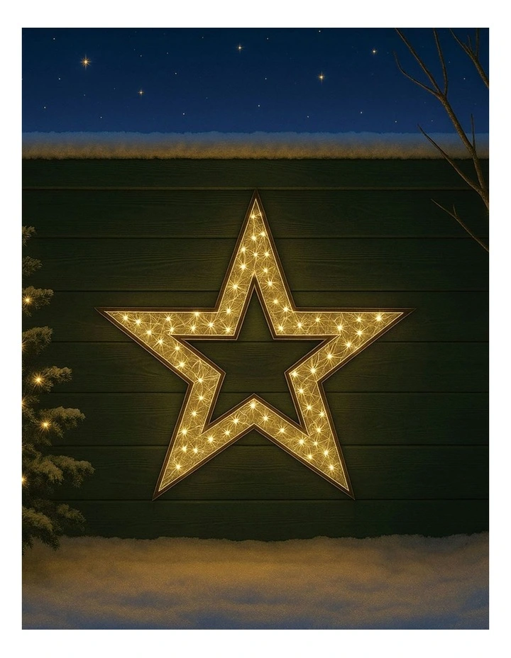 LED Mesh Star With Twinkle 2D 1.2M in Warm White image 1