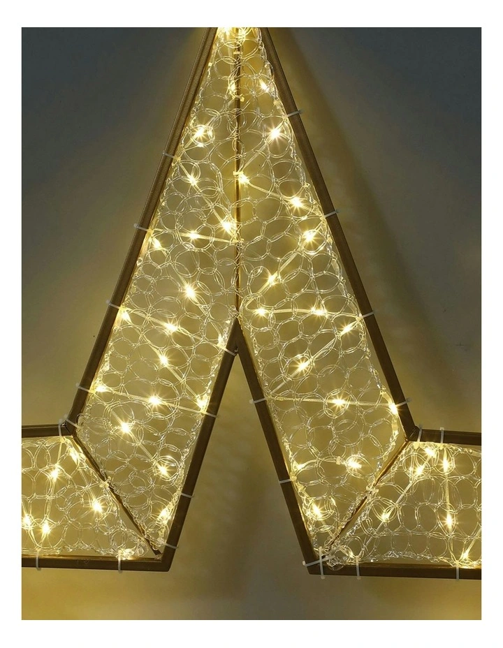 LED Mesh Star With Twinkle 2D 1.2M in Warm White image 3