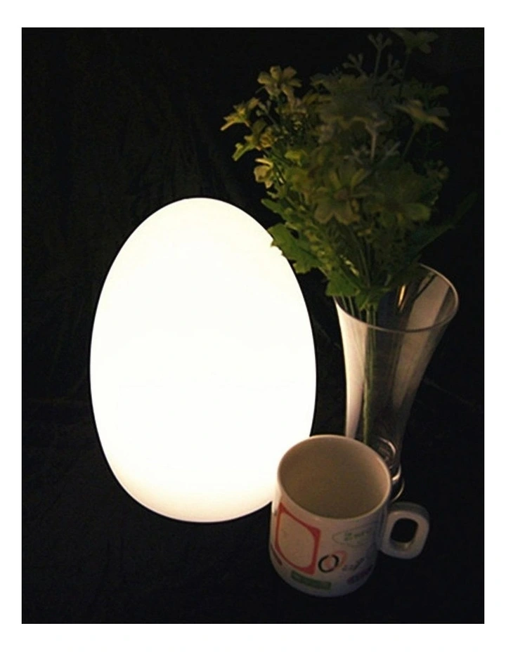 LED Egg Lamp in White image 3
