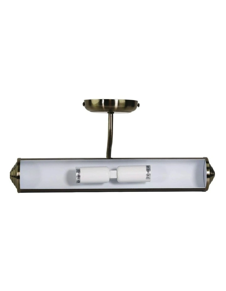 Wall Light For Picture in Antique Brass image 2