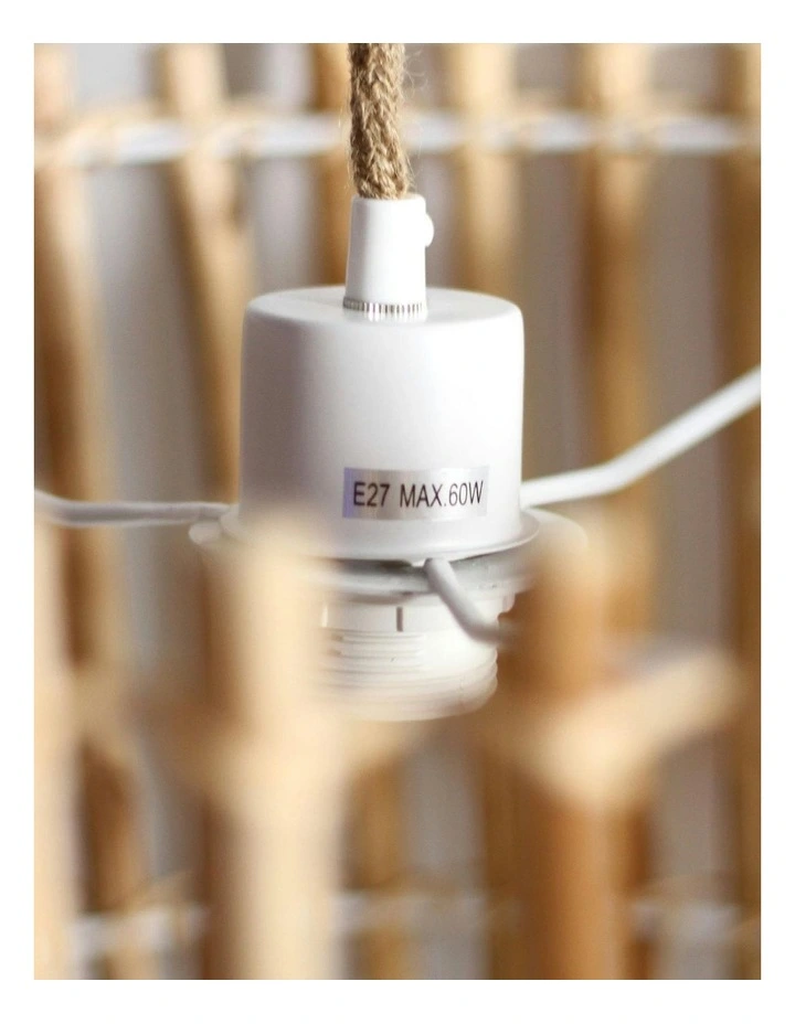 Vanessa Pendant Light in Natural image 3