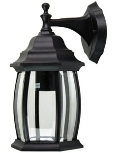 Highgate Down Exterior Light in Black