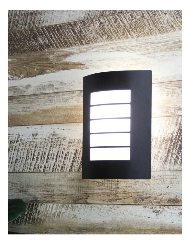 Cheeta Stainless Steel Exterior Light in Black image 2