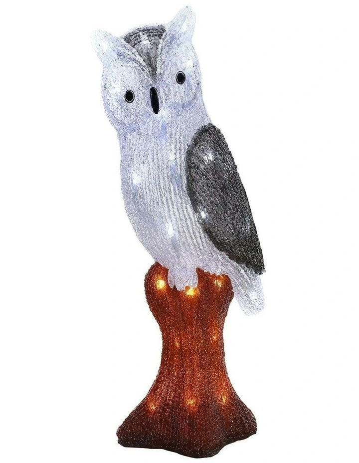 Acrylic Owl in White image 1