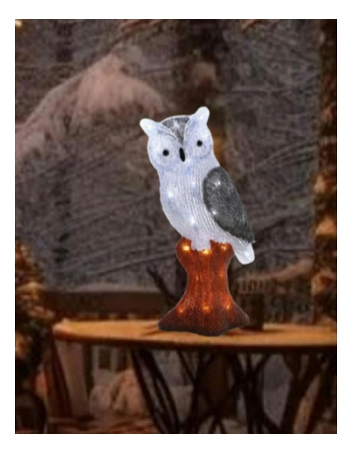 Acrylic Owl in White image 2