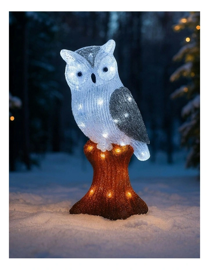 Acrylic Owl in White image 3