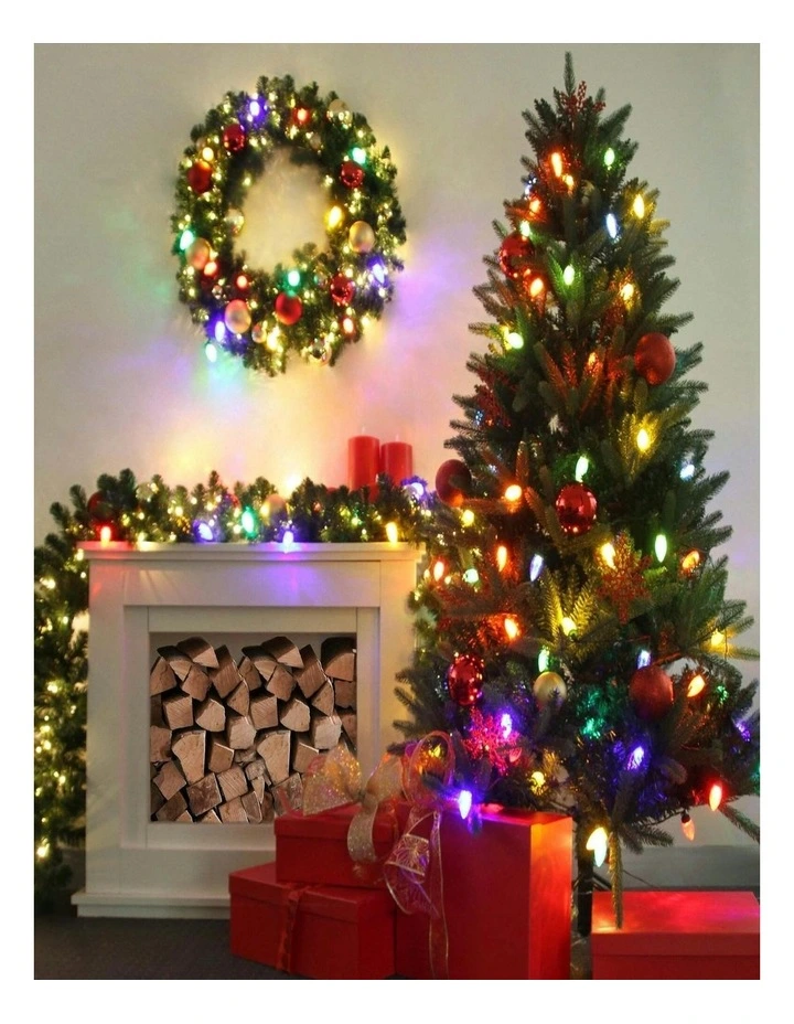 Pinecone 50 Leds Connectable String Lights in Multi image 2