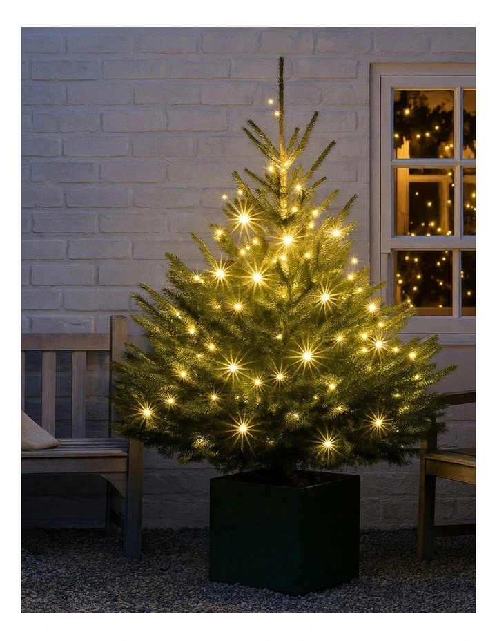 Lexi Lighting 520 LED Connectable Fairy Light Chain Clear Cable in Warm White image 2