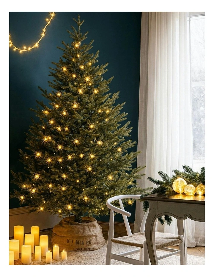 Lexi Lighting 520 LED Connectable Fairy Light Chain Clear Cable in Warm White image 4