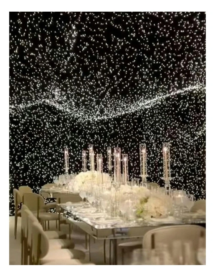 Lexi Lighting 640 LED Snowing Net Light In Warm White image 2