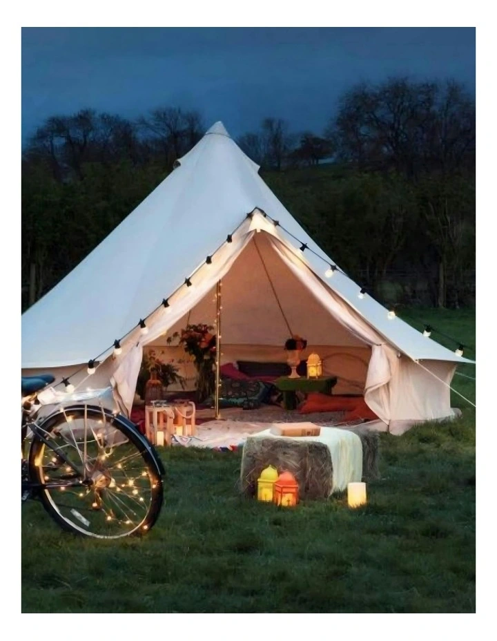 Festoon LED String 20 Clear Light image 1