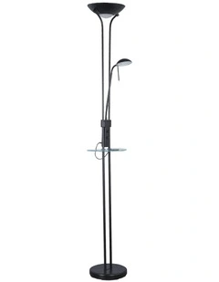 Seed USB LED Mother & Child Floor Lamp in Black