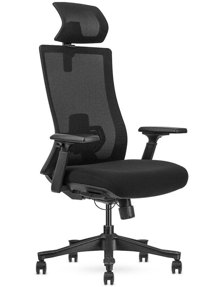 Fitness DM9 Ergonomic Mesh High Back Office Chair in Black image 1