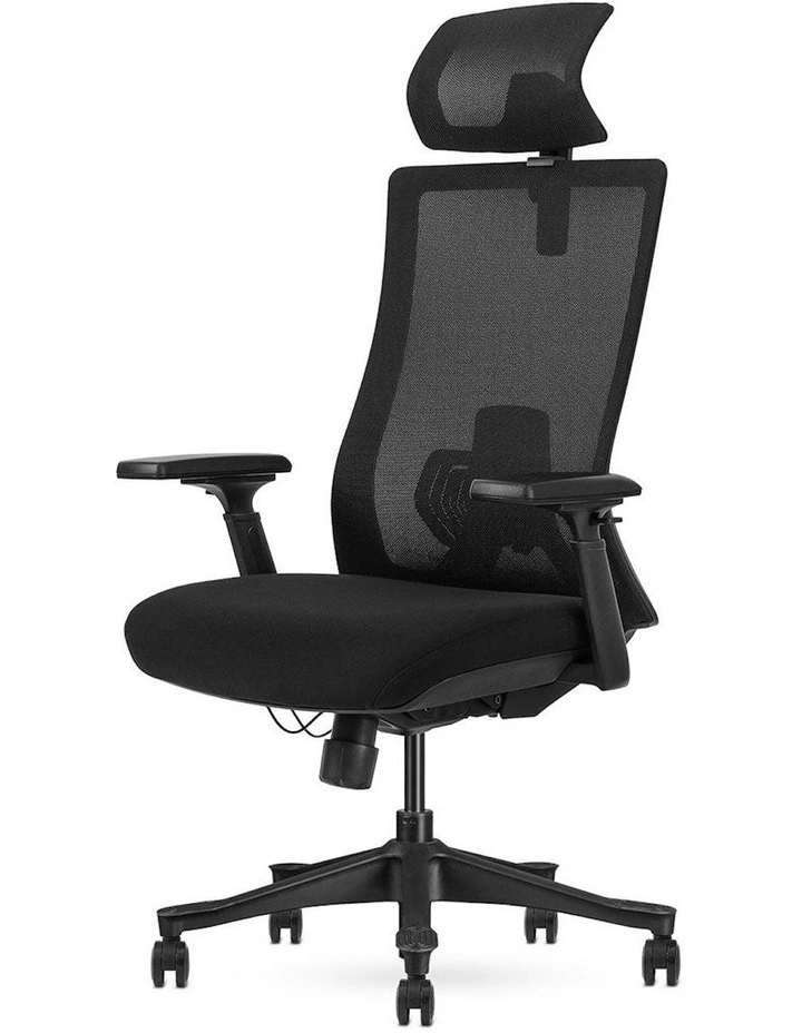 Fitness DM9 Ergonomic Mesh High Back Office Chair in Black image 2