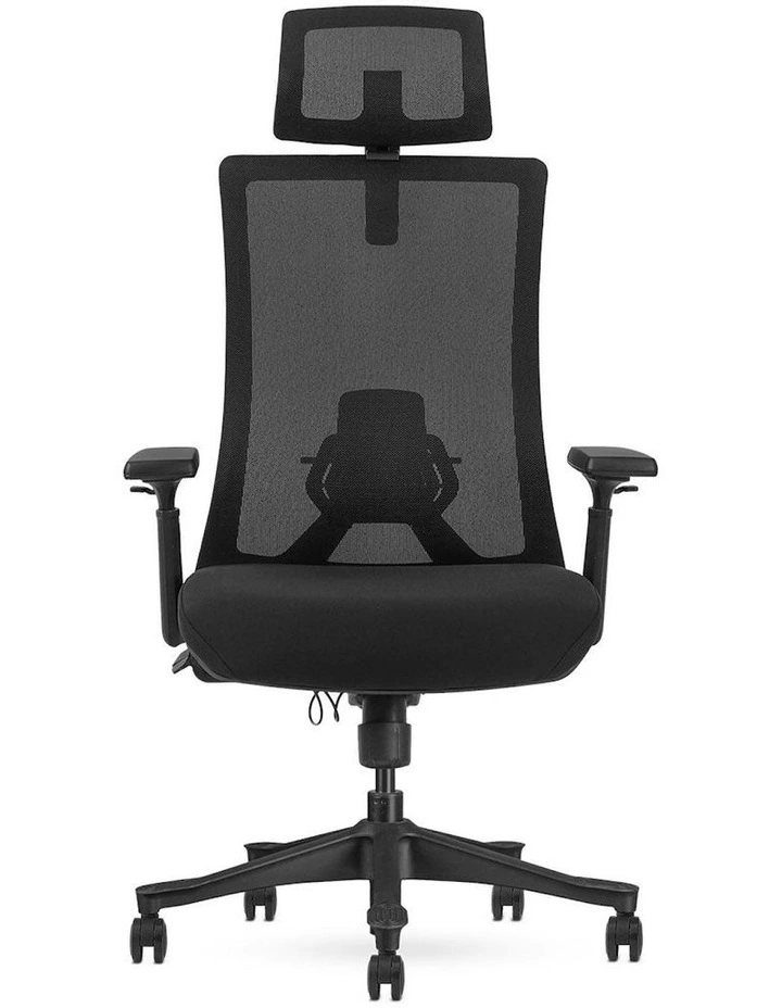 Fitness DM9 Ergonomic Mesh High Back Office Chair in Black image 3