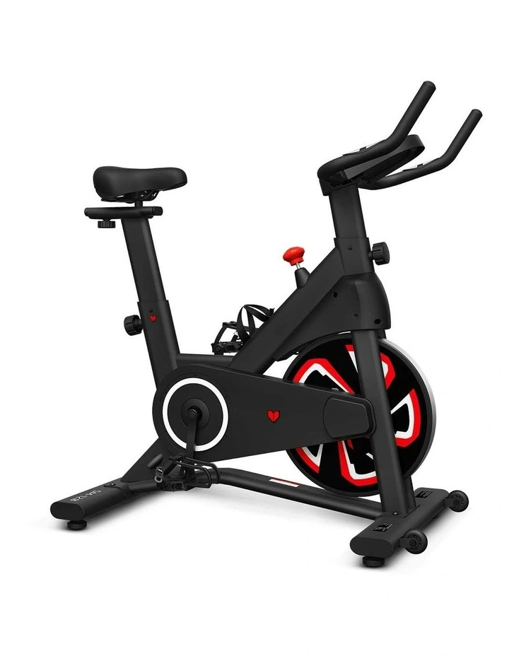 SM-120 Spin Bike with Automatic Magnetic Resistance image 1