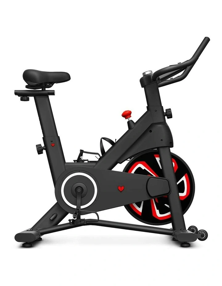 SM-120 Spin Bike with Automatic Magnetic Resistance image 2
