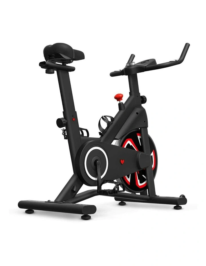 SM-120 Spin Bike with Automatic Magnetic Resistance image 3
