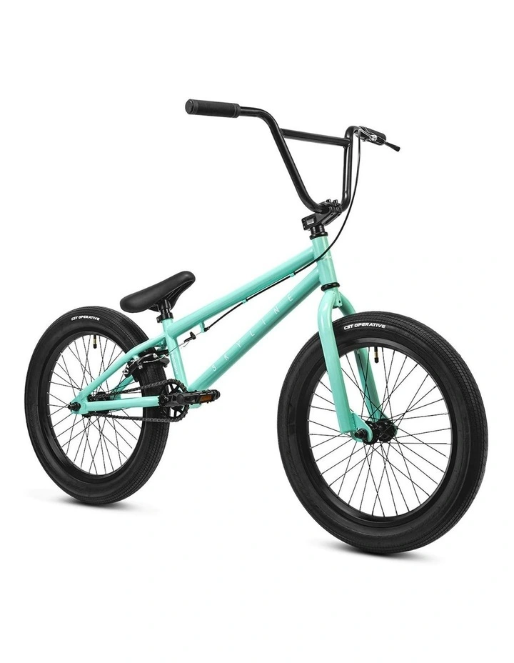 Skyline 20 BMX Bike in Teal image 1