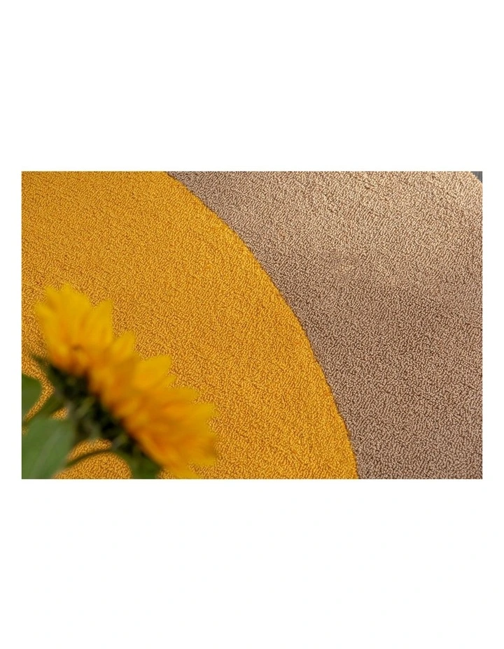 Habitat Festival Round 496306 Outdoor Rug in Yellow image 4