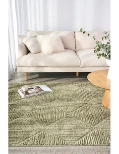 Envy Shilo Rug in Green