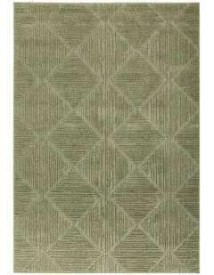 Envy Shilo Rug in Green