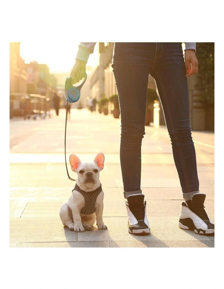 Go Shine Dog 4.7m Retractable Leash in White image 2