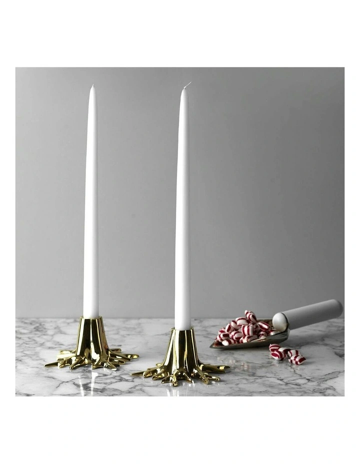 Mini Root Candle Holder 10x6cm in Brass image 2