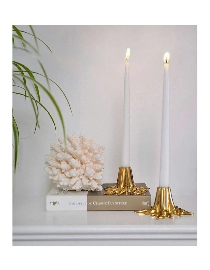 Mini Root Candle Holder 10x6cm in Brass image 4