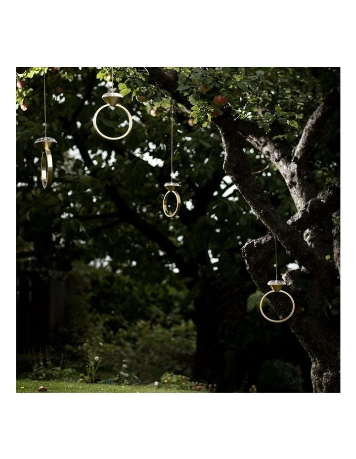 Diamond Ring Hanging Bird Feeder 29cm in Gold image 4