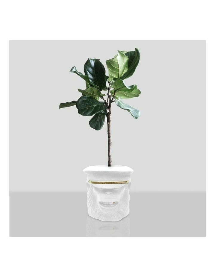 Monkey Plant Large Pot Centerpiece Tabletop Decor in White image 2