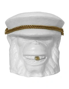 Monkey Plant Small Pot Centerpiece Tabletop Decor in White