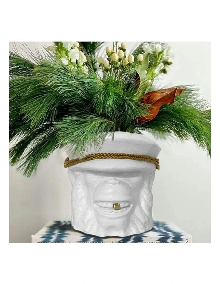 Monkey Plant Small Pot Centerpiece Tabletop Decor in White image 2
