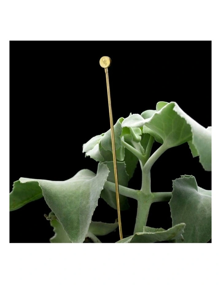 Plant Support Stick Holder 48cm GG Button image 2
