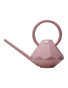 Plastic Watering Can Long Spout Pot 8L in Rose