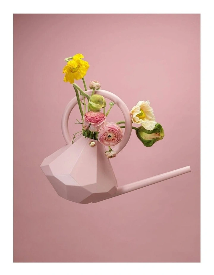 Plastic Watering Can Long Spout Pot 8L in Rose image 3