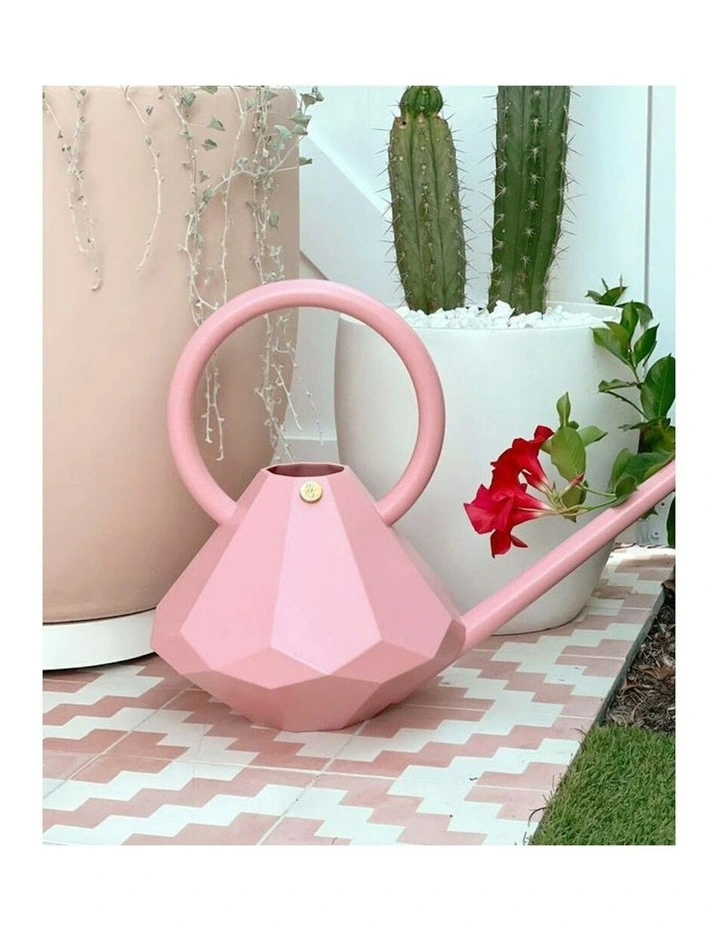 Plastic Watering Can Long Spout Pot 8L in Rose image 4