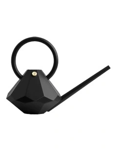Plastic Watering Can Long Spout Pot 4L in Onyx