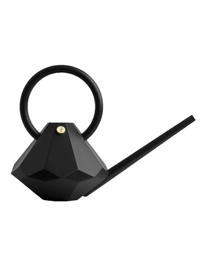 Plastic Watering Can Long Spout Pot 4L in Onyx image 1