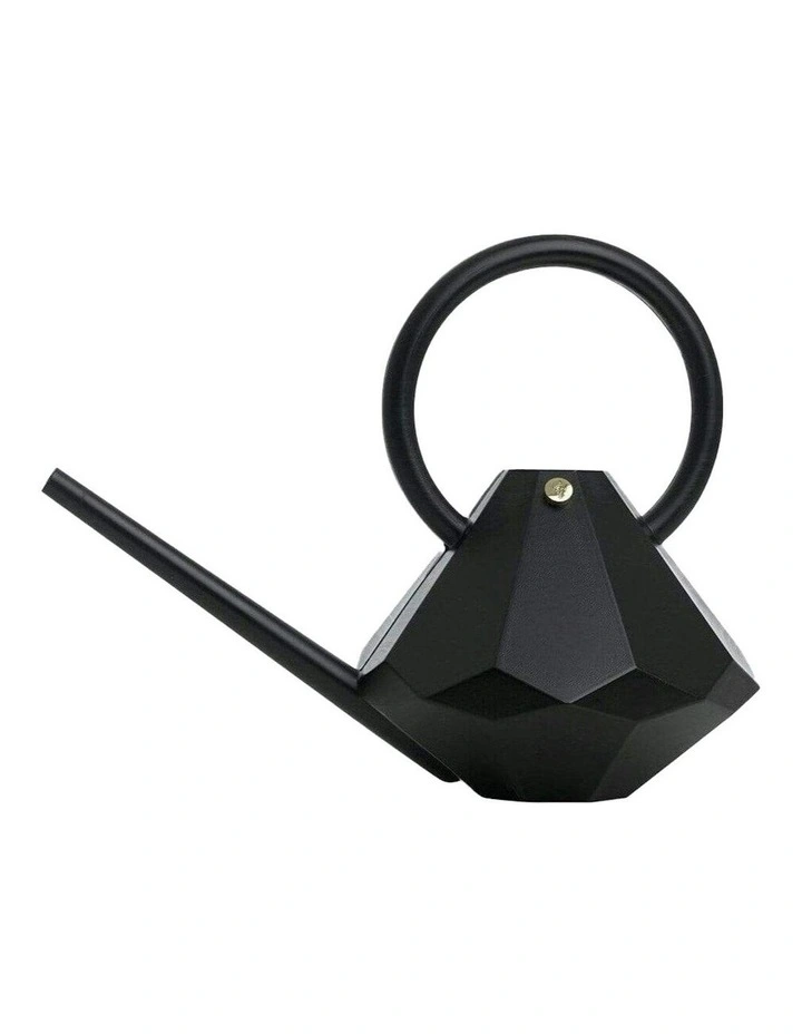 Plastic Watering Can Long Spout Pot 8L in Onyx image 1