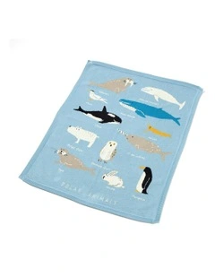 Cotton Aurora Knitted Blanket (0Month+) 100cm in Blue