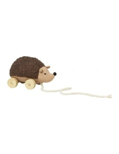 Hannah Hedgehog Wooden Pull-Along Activity Fun Toy