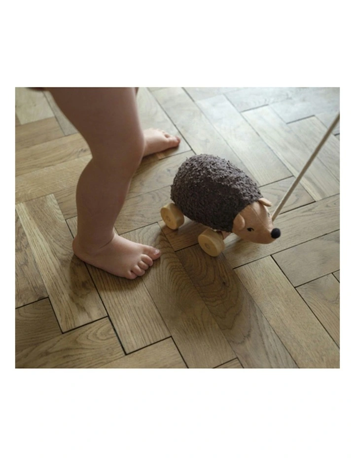 Hannah Hedgehog Wooden Pull-Along Activity Fun Toy image 2