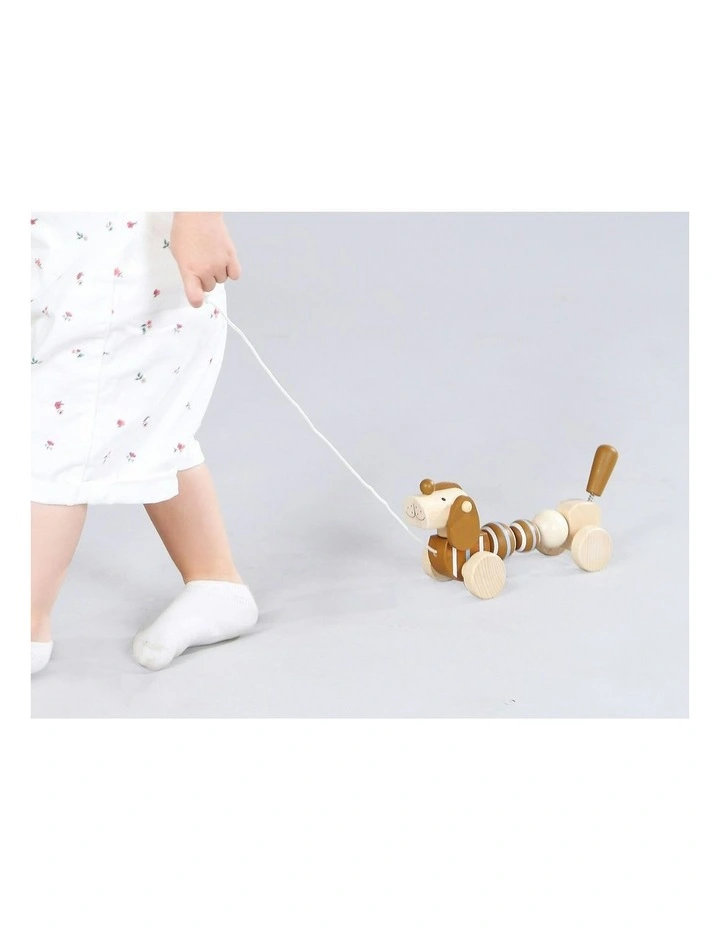 Calm and Breezy Pull Along Sausage Dog Play Toy 12m+ 23cm image 5
