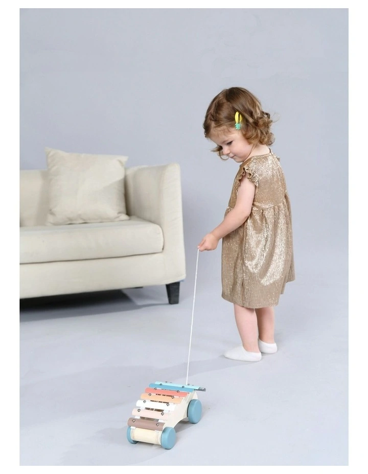 Toddler Calm and Breezy Pull Along Xylophone Car Play Toy 18m+ image 6